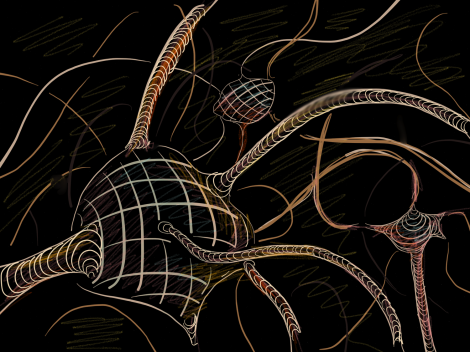 Neurons